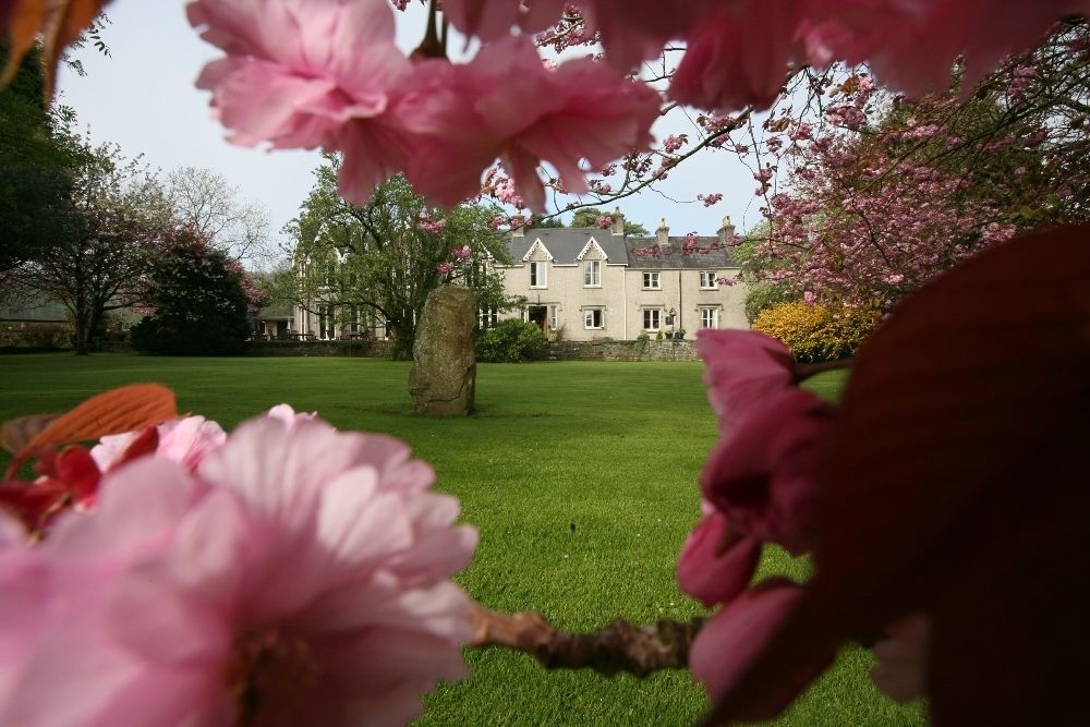Parc-le-breos House Bed & Breakfast