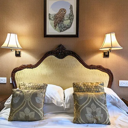Parc-Le-Breos House Bed & Breakfast Penclawdd Room photo