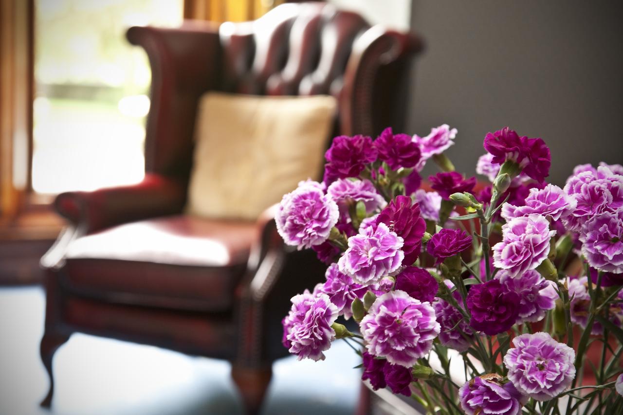 Bed & Breakfast Parc-le-breos House 4*